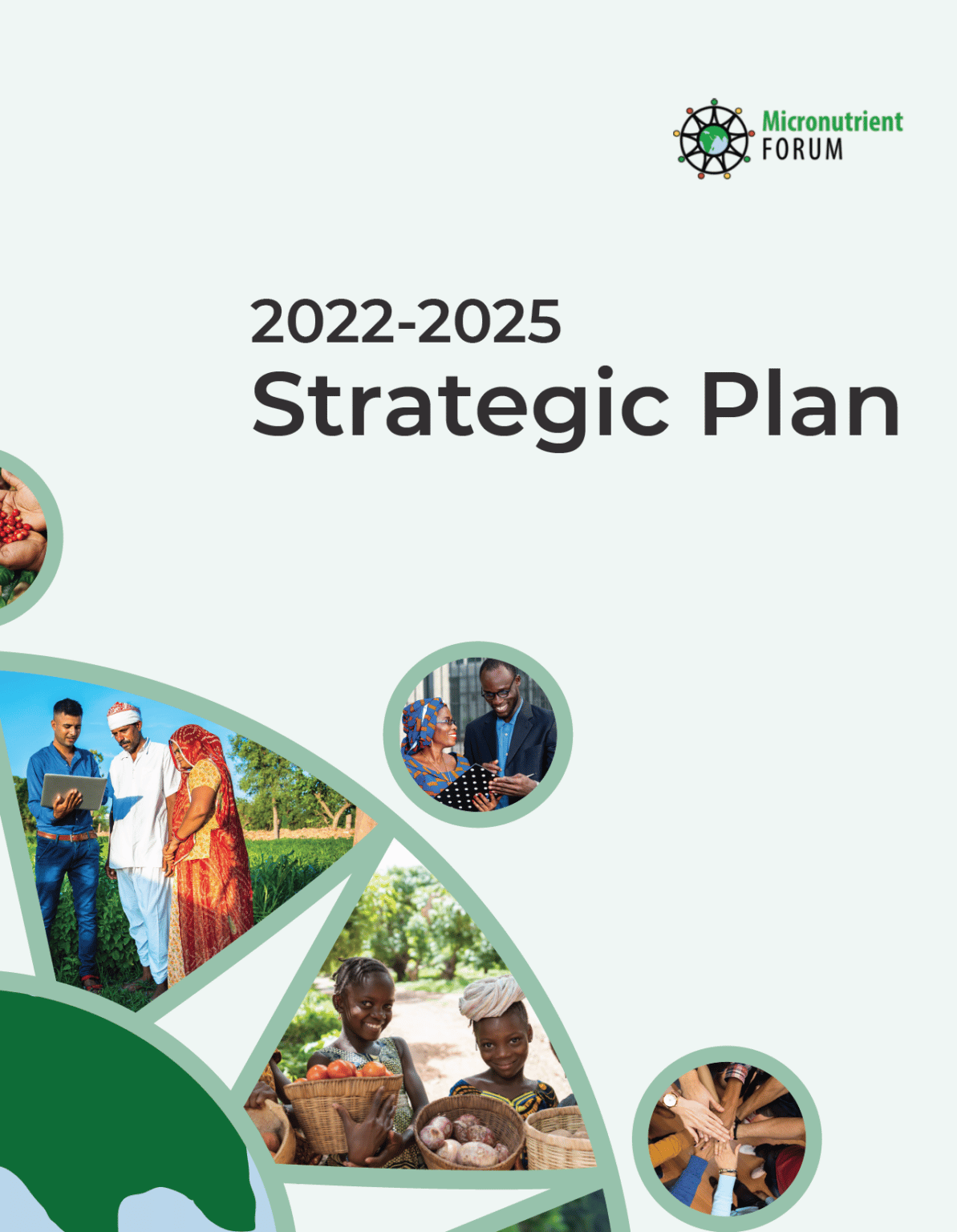 The Micronutrient Forum's 20222025 Strategic Plan Micronutrient Forum