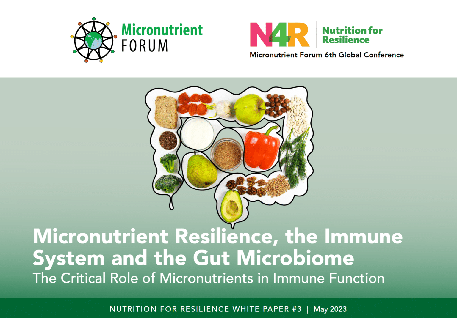 Micronutrient Resilience The Immune System And The Gut Microbiome