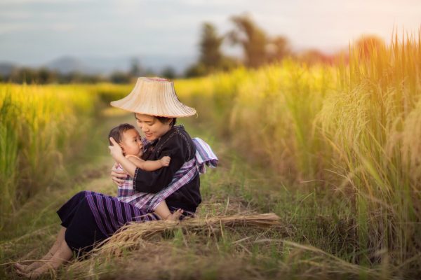 Mother,And,Son,In,Rice,Field.,Asia,Woman,Farmer,Holding Mother and son in rice field. Asia woman farmer holding her son walking in the middle of the rice field.