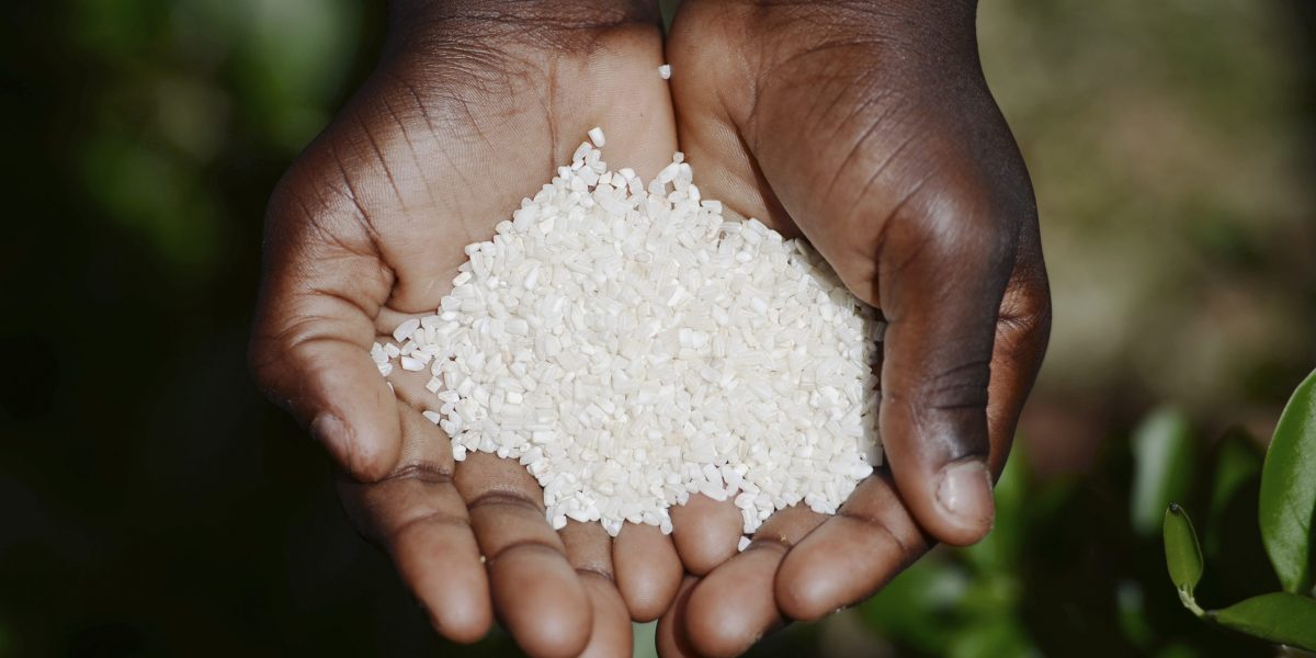 African,Malnutrition,Symbol,-,Black,Girl,Holding,White,Rice,Hunger. African,Malnutrition,Symbol,-,Black,Girl,Holding,White,Rice,Hunger.